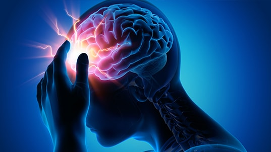 Brain Illustration